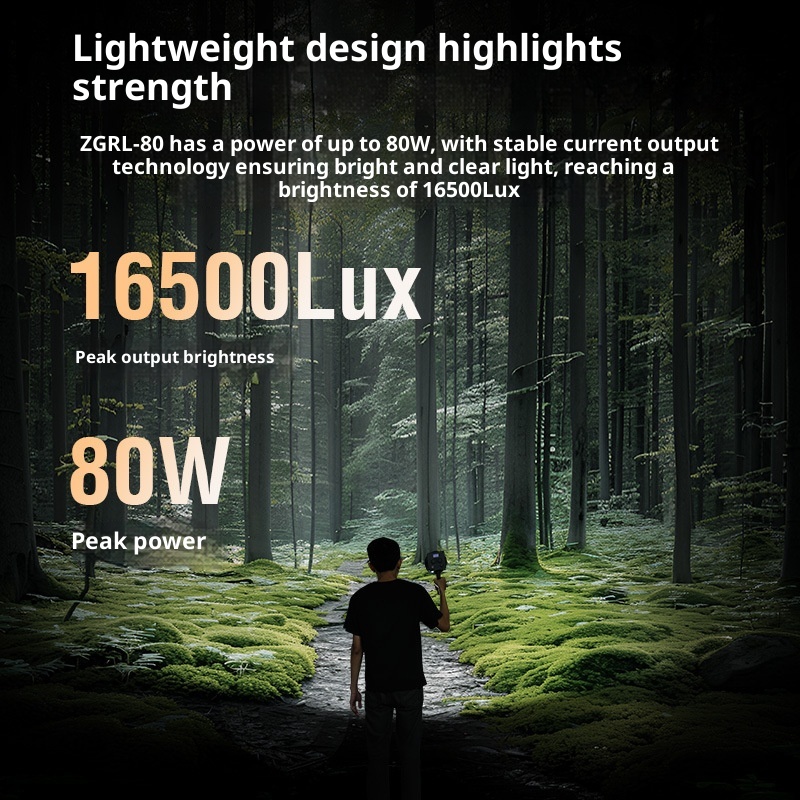 ZGRL80 80W COB Handheld Video  - Outdoor Lighting Video Shooting recensie en prijs